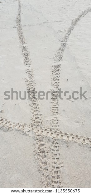 Background and\
texture of sand in baltic sea beach.\
