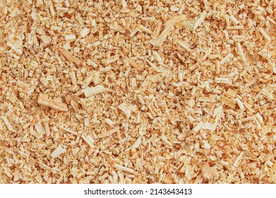 Background Texture Sawdust Cedar Shavings Woody Yellow Close-up.