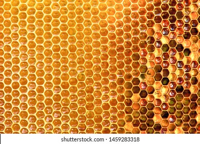 Background texture  of a section of wax honeycomb from a bee hive filled with golden honey|. Beekeeping concept - Powered by Shutterstock