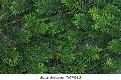 Background A Texture Spruce Branches Of Christmas Tree For A Christmas Card