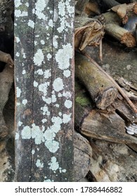 Background and texture of stacked logs