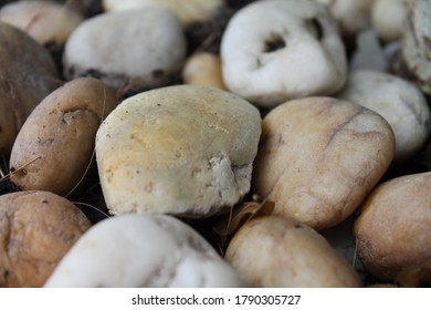 47 Cobblers beach Images, Stock Photos & Vectors | Shutterstock