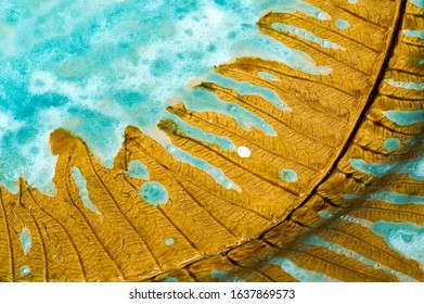 Background texture. Template. Products made of clay, folk crafts. Refractory products made of clay. hard, sticky fine-grained earth, usually yellow, and dried and baked to make and pottery.