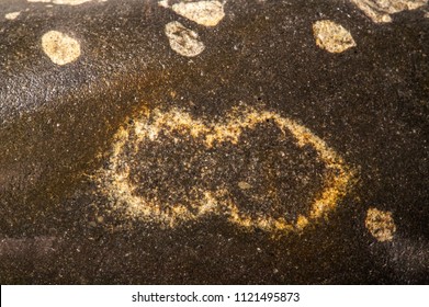 Background Texture. Template. A Rock. Any Mass Or Aggregate Of One Or Several Mineral Species Or Organic Matter That Are Products Of Natural Processes