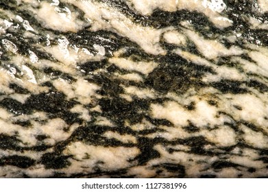 Background Texture. Template. A Rock. Any Mass Or Aggregate Of One Or Several Mineral Species Or Organic Matter That Are Products Of Natural Processes