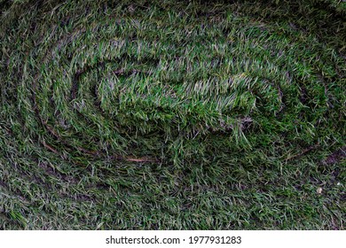 The background texture is from a twisted-in roll of artificial turf to sports fields of backyards and garden. Not a real rolled lawn made of artificial green grass for football fields. Soccer grass