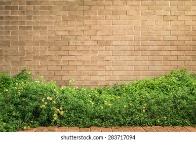 background and texture of vintage style decorative brown brick wall with Lantana camara or Cloth of gold