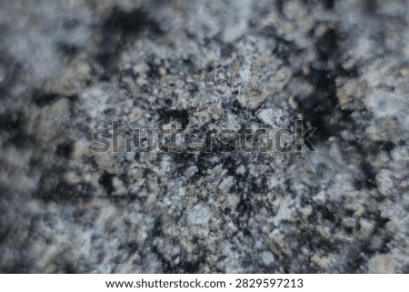 background texture for wallpaper has blur and focus nuances