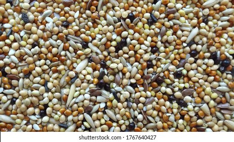 38,564 Millet seed Images, Stock Photos & Vectors | Shutterstock