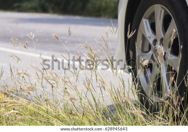 background\
textured grass flowers roadside have car\
stop