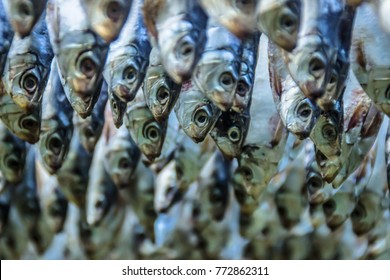 10,510 Taiwan fish Images, Stock Photos & Vectors | Shutterstock