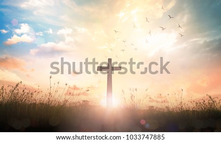 Background of thanks giving concept: Silhouette cross and birds flying on meadow autumn sunrise