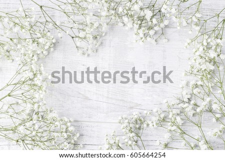 Background with tiny white flowers (gypsophila paniculata), blurred, selective focus
