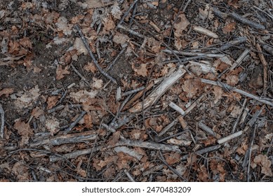 Background top view close up of dead leaves and wood in a garden.
