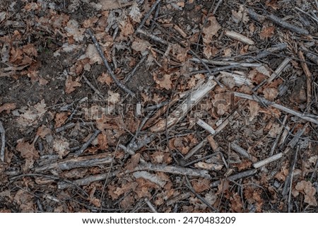 Background top view close up of dead leaves and wood in a garden.
