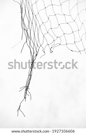 background with torn mesh isolated on white background