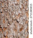 background Tracker Bark of a large tree with strong bark