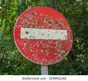 Background Traffic Sign Passage Prohibited With Many Lichens Air Purity