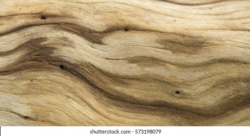 Background of tree bark surface cracks. texture in wooden nature time.