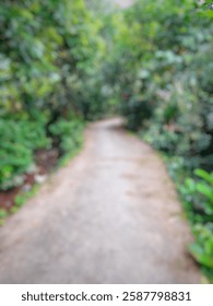 The background of the trees between the roads with blur in the pangkajene area, south sulawesi