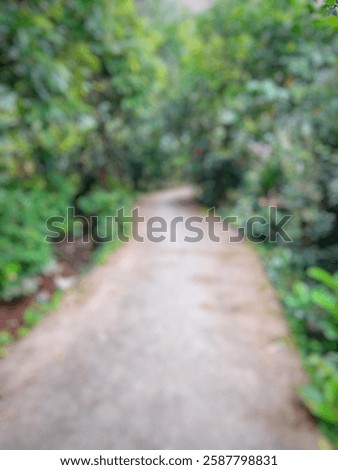 The background of the trees between the roads with blur in the pangkajene area, south sulawesi