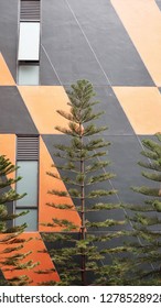 Background trees and wall