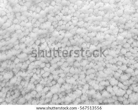 Background of true snow texture in white tone.