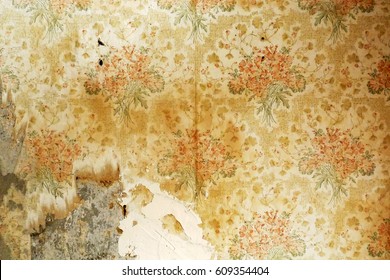 Background: Very Old Flower Motif Wallpaper, Partly Torn Off