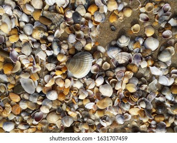 Background View Of The Sea In Anapa City