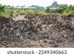 Background view of the soil wall under a paved road that has been dug for renovation, full of dry grass on the floor above near a residential house in rural Thailand.