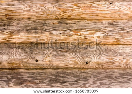 The background is a Wall of old trees, located horizontally