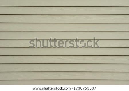 A background wall of tan shiplap siding.