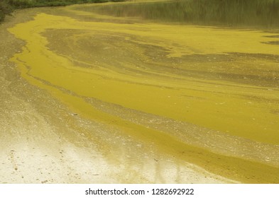 Background of water surface with yellow pattern