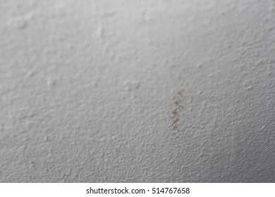 background  white