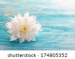 Background with white Blossom on turquiose Wood with Copy Space