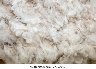 Background Of White Merino Wool