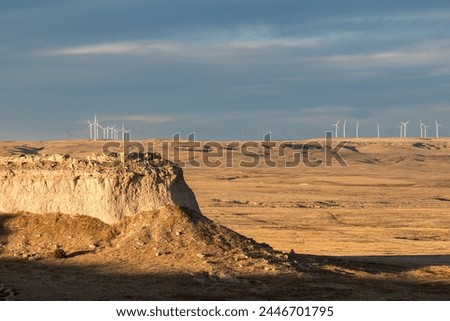 A background of wind turbines, actively generate electricity on the Pawnee National Grasslands in Northeastern Colorado's high plains. 
