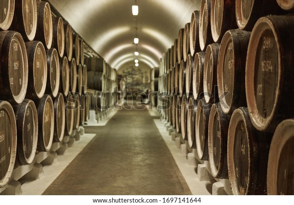 Background of wine barrels in\
wine-vaults. Mixed media. Interior of wine vault with wooden\
barrels.