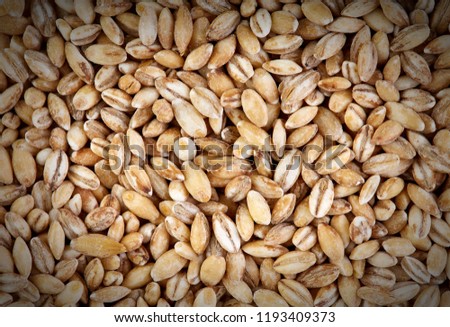 Similar – winter Grain Nutrition