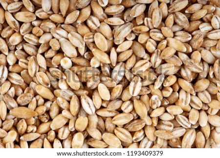 Similar – winter Grain Nutrition