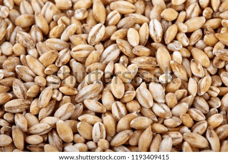 Similar – winter Grain Nutrition