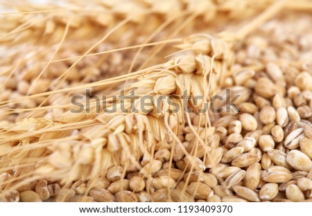 Similar – winter Grain Nutrition