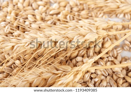 Similar – winter Grain Nutrition