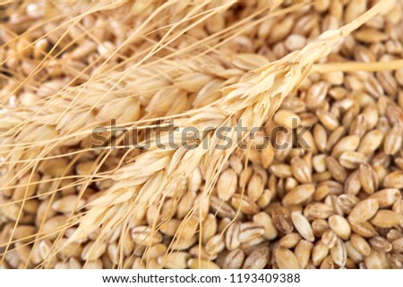 Similar – winter Grain Nutrition