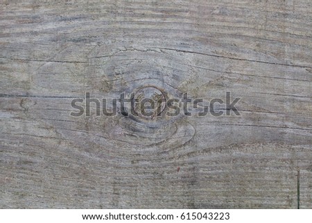 Background of wooden boards with a bough