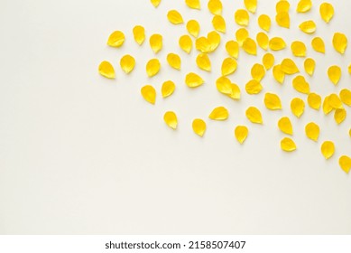 Background Yellow Petals Colored Background Yellow Stock Photo ...