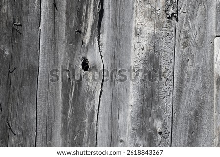 backgrounds layouts for abstract presentation