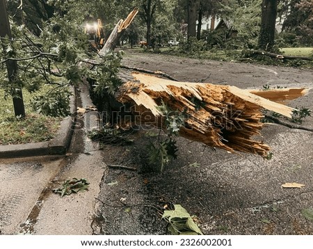 Backhoe Cleaning up Residential Street Following a Severe Weather and Tornado Touchdown. Large trees have fallen and are blocking a residential street. Focus on a broken tree stump.