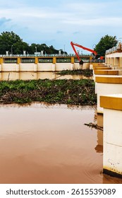 Backhoe Dump Water hyacinth. Tractor working. Machines disposal and collect water hyacinth from river at dam. Backhoe clean source river lagoon water hyacinth . Machines removing water hyacinth.