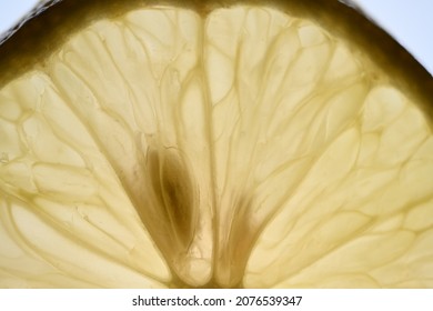Backlight lemon slice macro shot